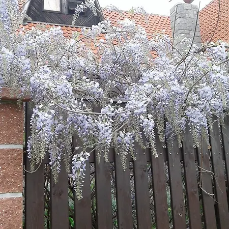 Maison d'hôtes U Jezku Průhonice