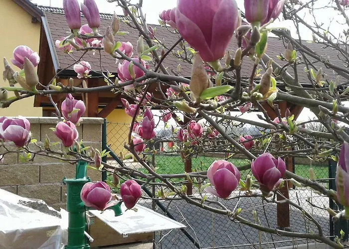 게스트하우스 U Jezku 프루호니스